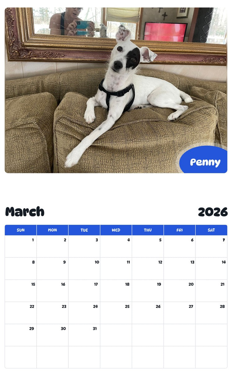 November 2025 - October 2026 Penny - Pawidols Pet Calendar