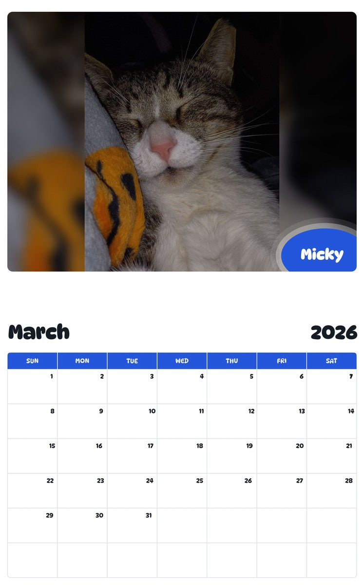 November 2025 - October 2026 Micky - Pawidols Pet Calendar