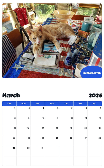 November 2025 - October 2026 Butterscotch - Pawidols Pet Calendar