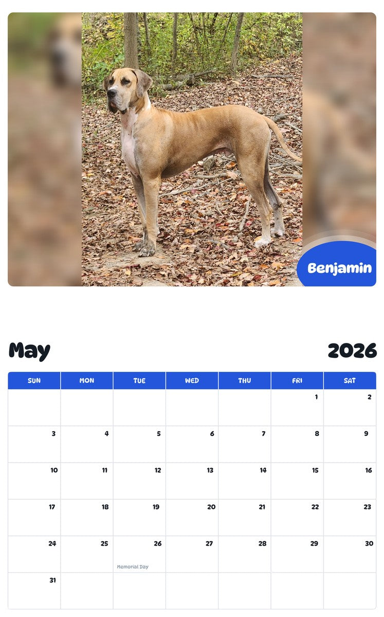2026 - 2027 Benjamin - Pawidols Pet Calendar