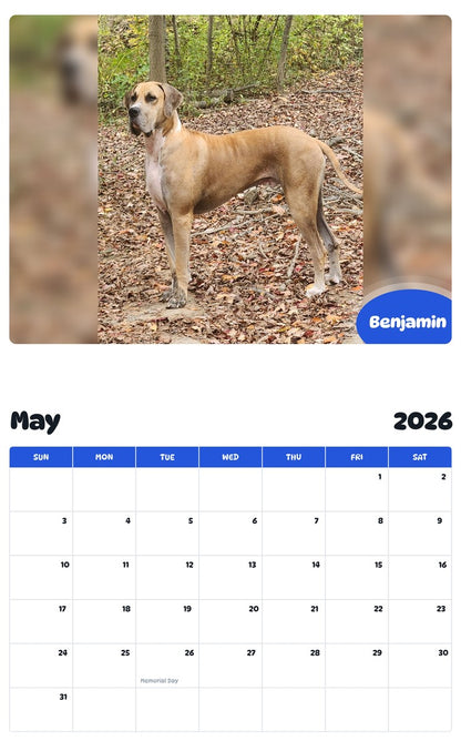 2026 - 2027 Benjamin - Pawidols Pet Calendar