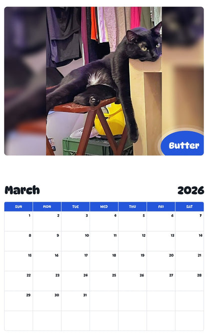 November 2025 - October 2026 Butter - Pawidols Pet Calendar