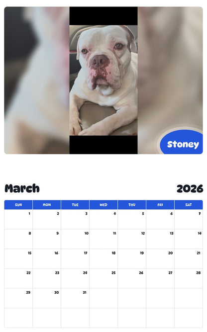November 2025 - October 2026 Stoney - Pawidols Pet Calendar