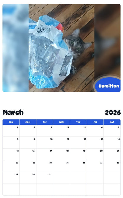 November 2025 - October 2026 Hamilton - Pawidols Pet Calendar