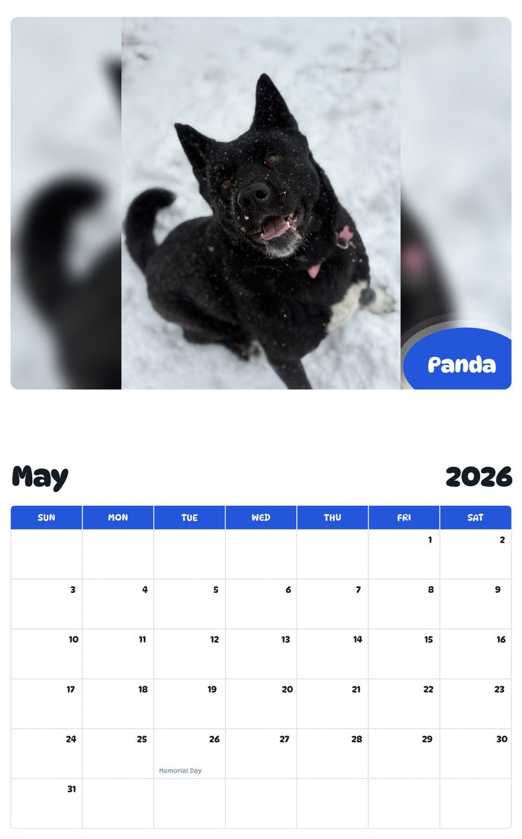 2026 - 2027 Panda - Pawidols Pet Calendar