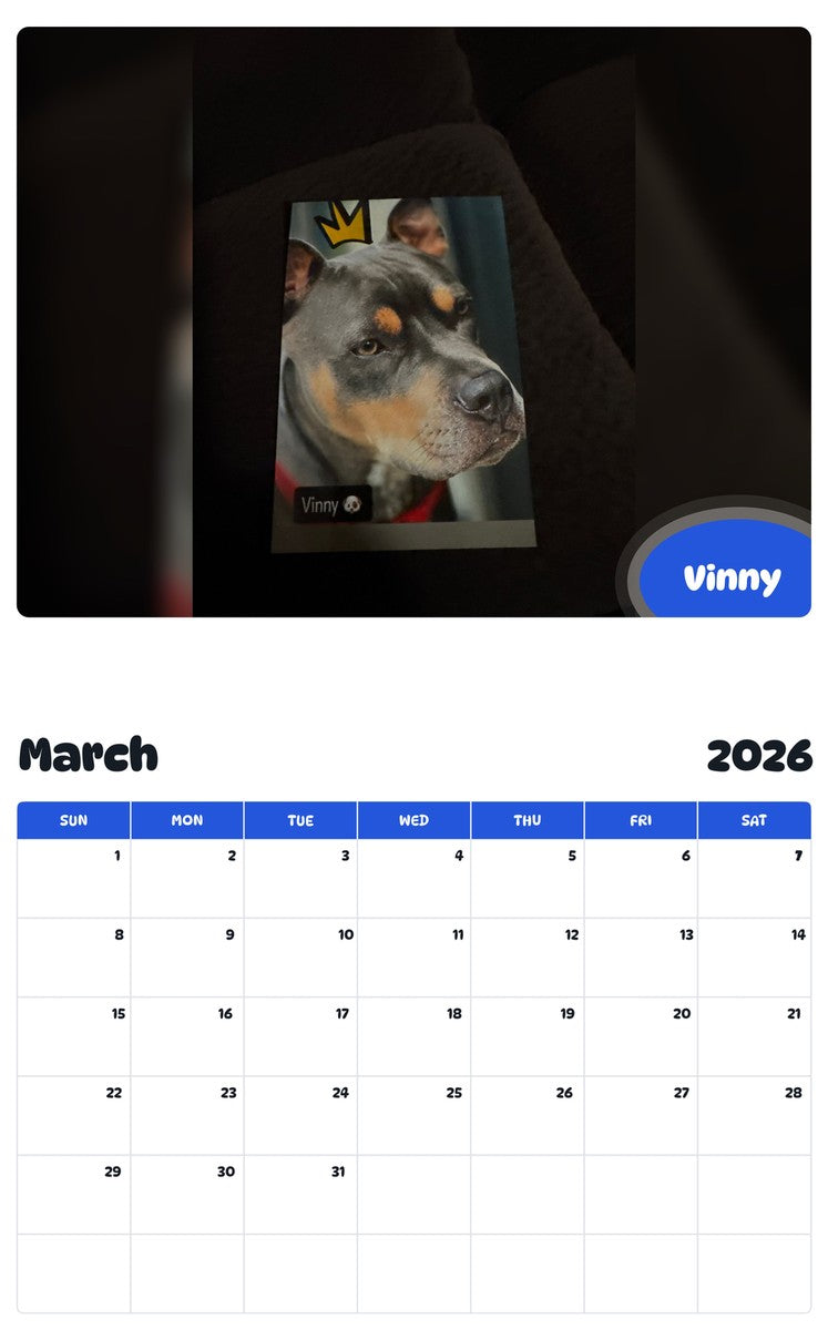November 2025 - October 2026 Vinny - Pawidols Pet Calendar