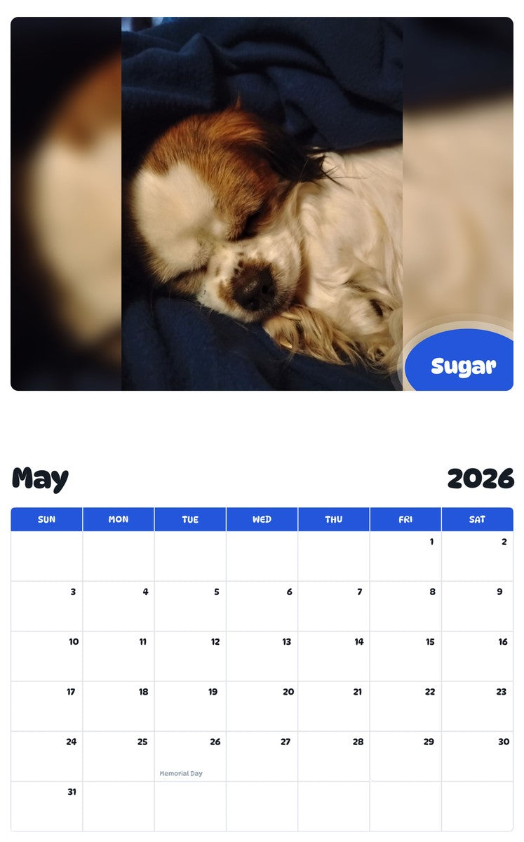 2026 - 2027 Sugar - Pawidols Pet Calendar