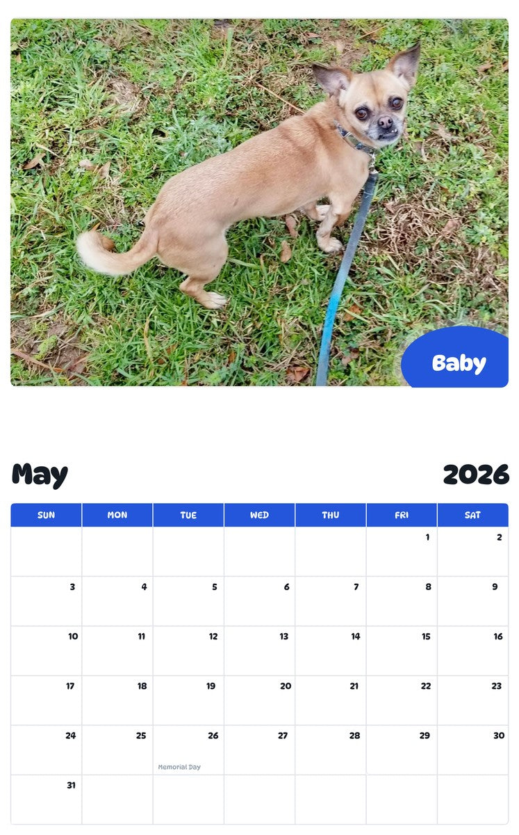 2026 - 2027 Baby - Pawidols Pet Calendar