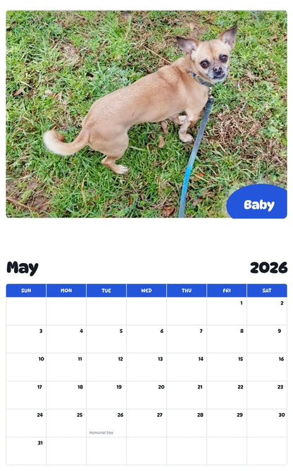 2026 - 2027 Baby - Pawidols Pet Calendar