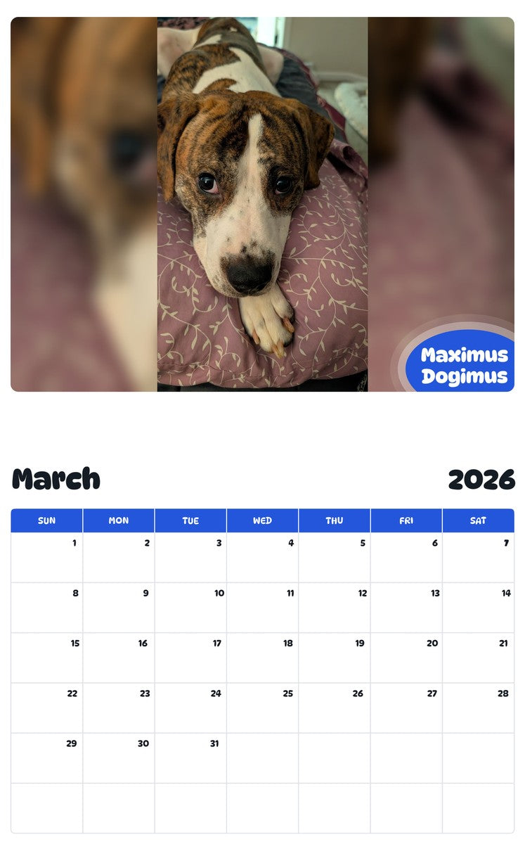 November 2025 - October 2026 Maximus Dogimus - Pawidols Pet Calendar