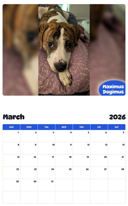 November 2025 - October 2026 Maximus Dogimus - Pawidols Pet Calendar