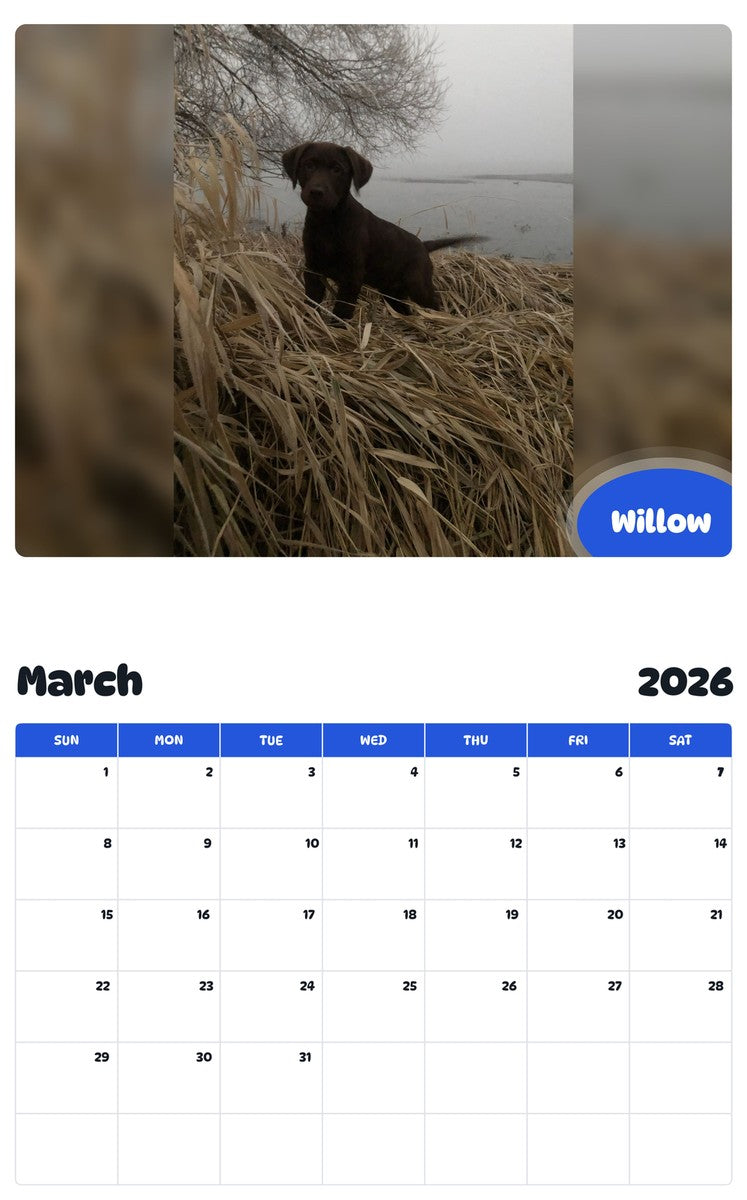November 2025 - October 2026 Willow - Pawidols Pet Calendar