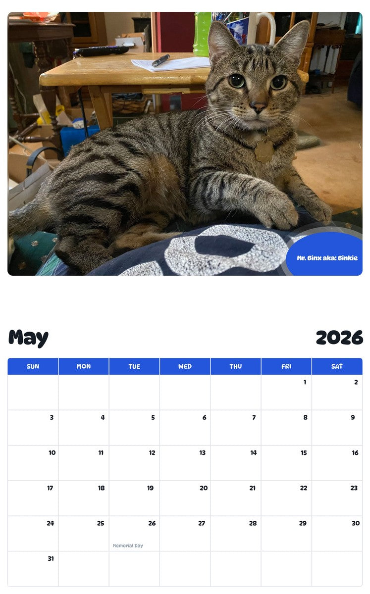 2026 - 2027 Mr. Binx aka: Binkie - Pawidols Pet Calendar