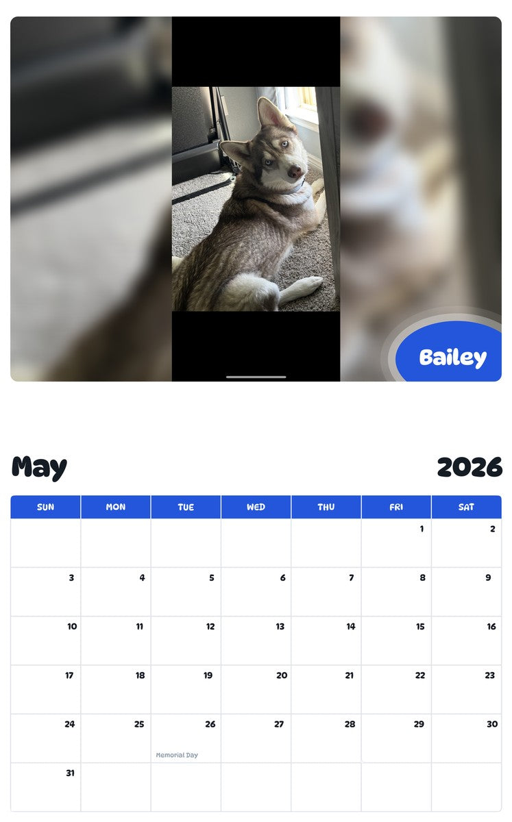 2026 - 2027 Bailey - Pawidols Pet Calendar