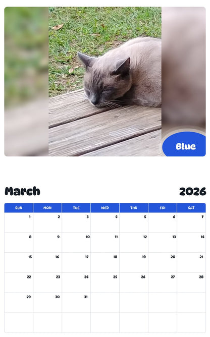 November 2025 - October 2026 Blue - Pawidols Pet Calendar