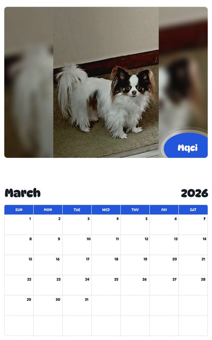 November 2025 - October 2026 Mqci - Pawidols Pet Calendar