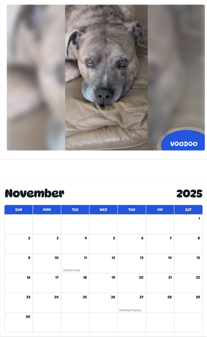 July 2025 - June 2026 Voodoo - Pawidols Pet Calendar