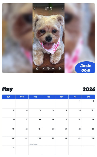 2026 - 2027 Josie Jojo - Pawidols Pet Calendar