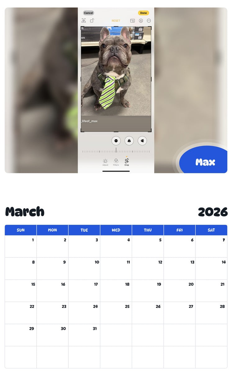 November 2025 - October 2026 Max - Pawidols Pet Calendar