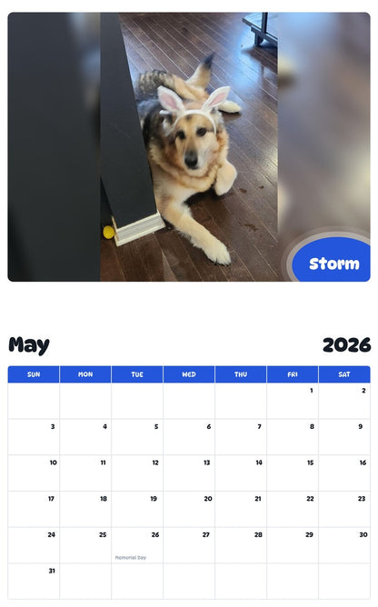 2026 - 2027 Storm - Pawidols Pet Calendar