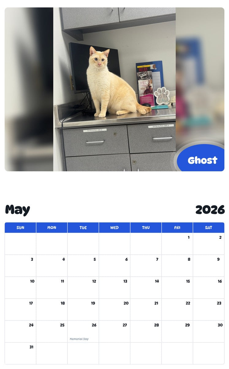 2026 - 2027 Ghost - Pawidols Pet Calendar