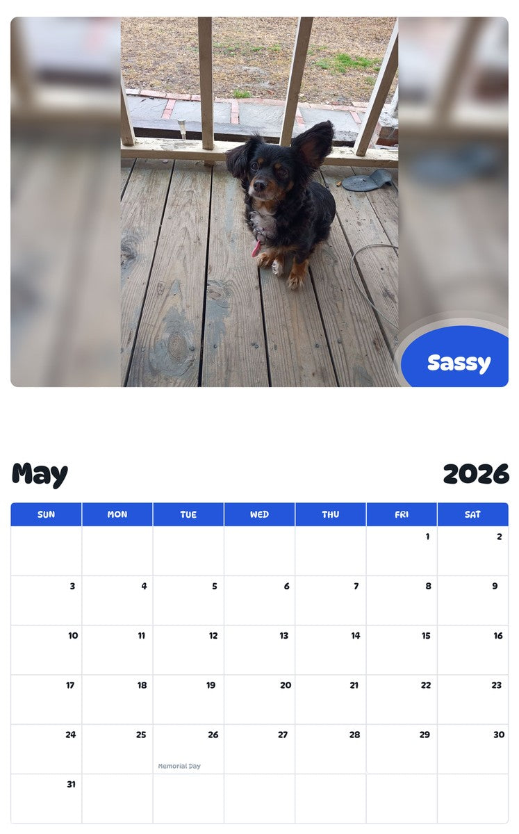 2026 - 2027 Sassy - Pawidols Pet Calendar