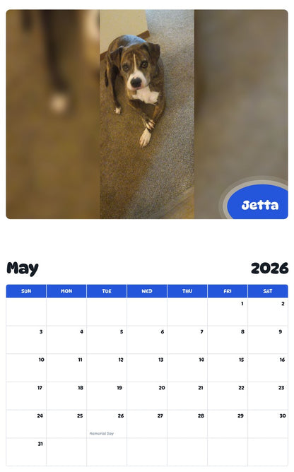 2026 - 2027 Jetta - Pawidols Pet Calendar