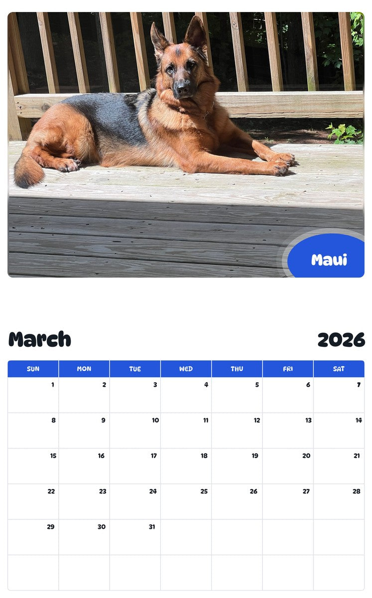 November 2025 - October 2026 Maui - Pawidols Pet Calendar