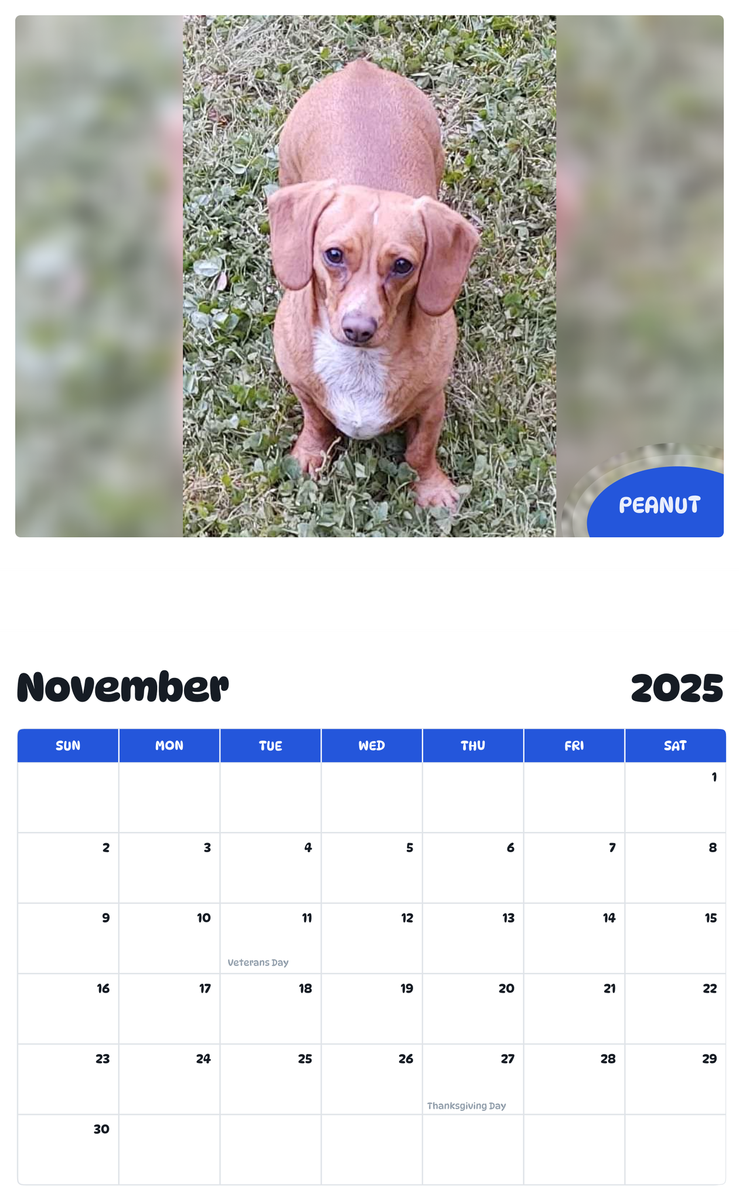 July 2025 - June 2026 Peanut - Pawidols Pet Calendar