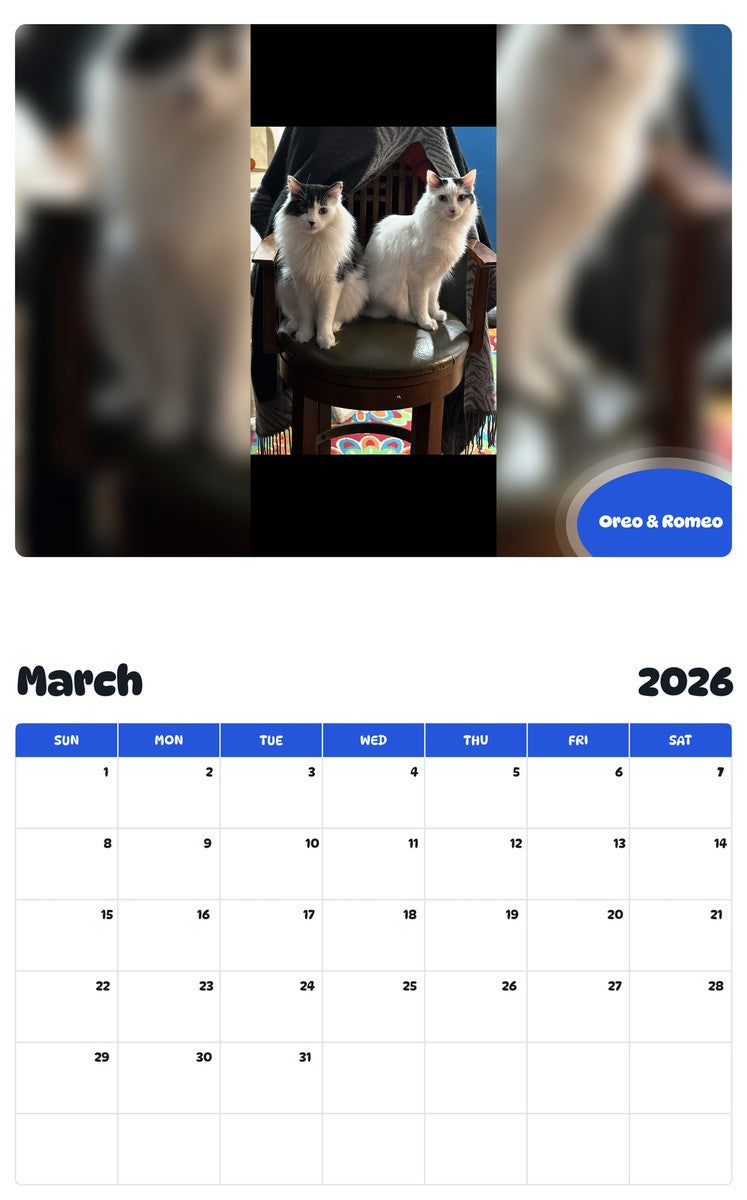 November 2025 - October 2026 Oreo & Romeo - Pawidols Pet Calendar