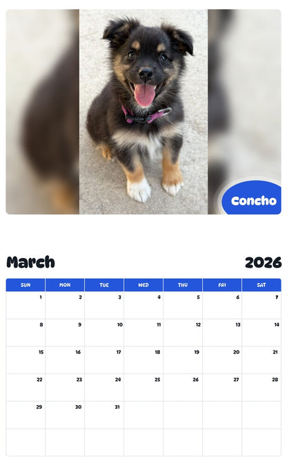 November 2025 - October 2026 Concho - Pawidols Pet Calendar