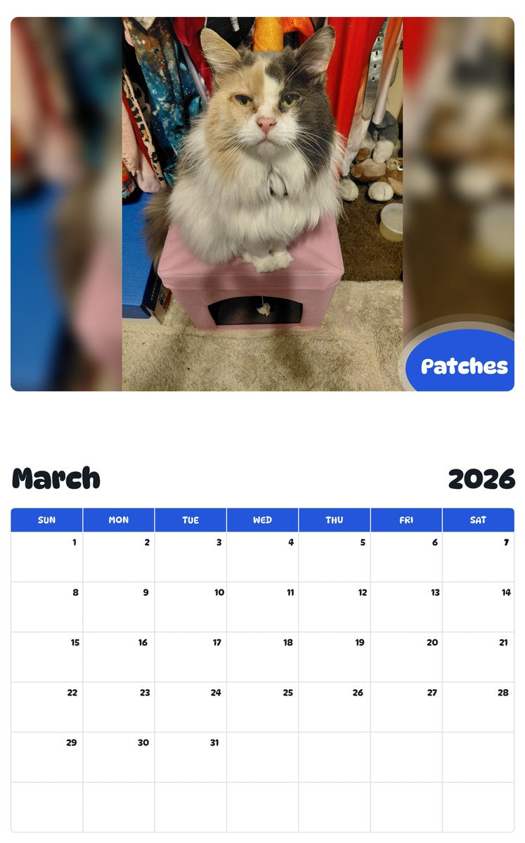 November 2025 - October 2026 Patches - Pawidols Pet Calendar
