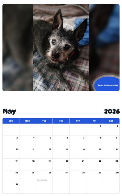 2026 - 2027 Domino Christopher McGhee - Pawidols Pet Calendar
