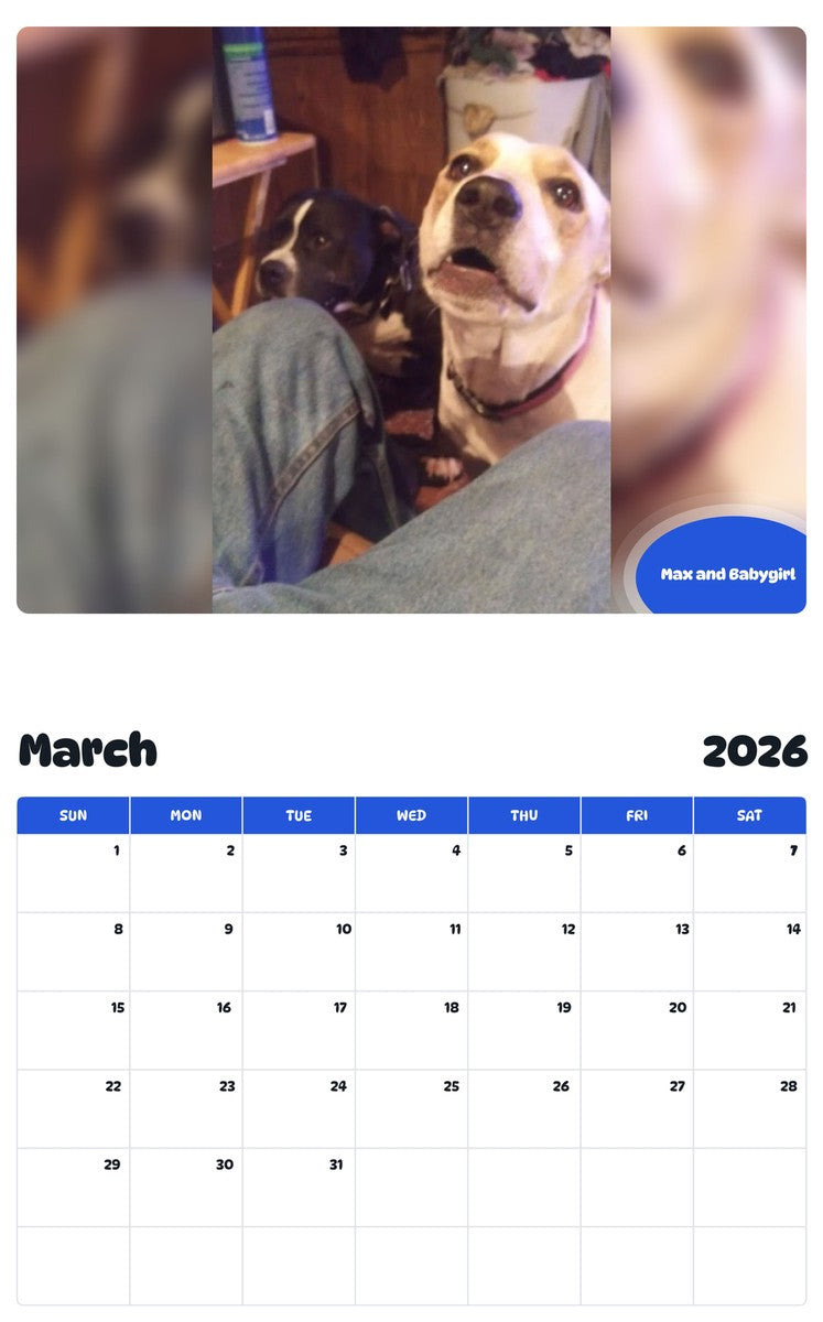 November 2025 - October 2026 Max and Babygirl - Pawidols Pet Calendar