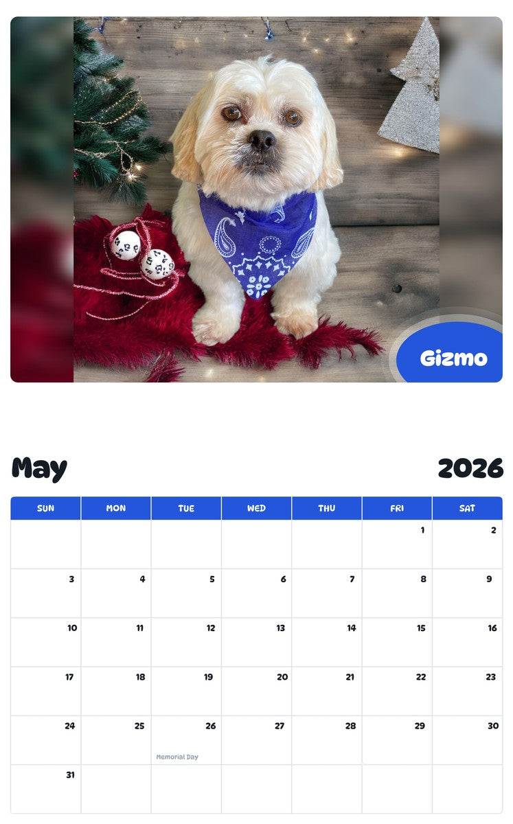 2026 - 2027 Gizmo - Pawidols Pet Calendar
