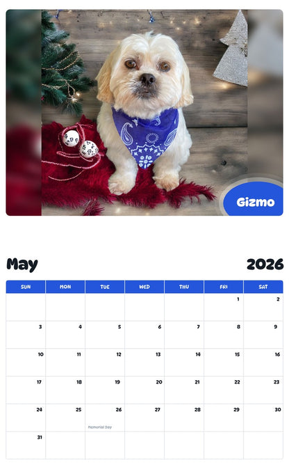 2026 - 2027 Gizmo - Pawidols Pet Calendar
