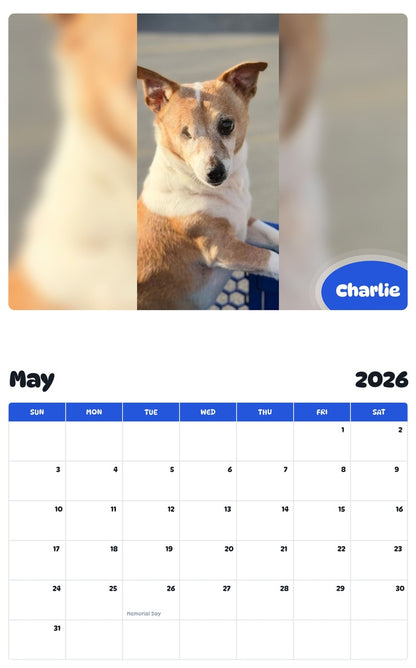 2026 - 2027 Charlie - Pawidols Pet Calendar