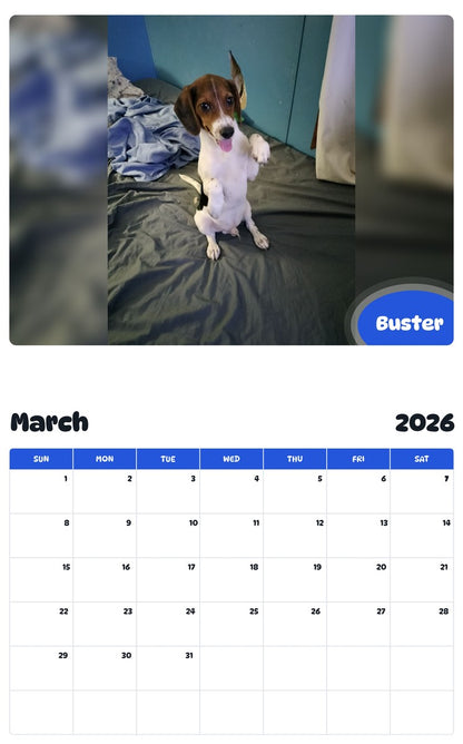 November 2025 - October 2026 Buster - Pawidols Pet Calendar