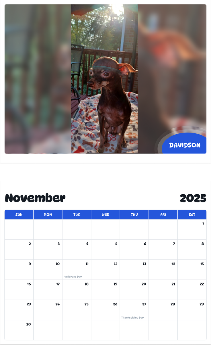 July 2025 - June 2026 Davidson - Pawidols Pet Calendar