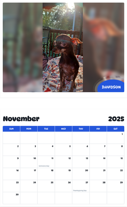 July 2025 - June 2026 Davidson - Pawidols Pet Calendar