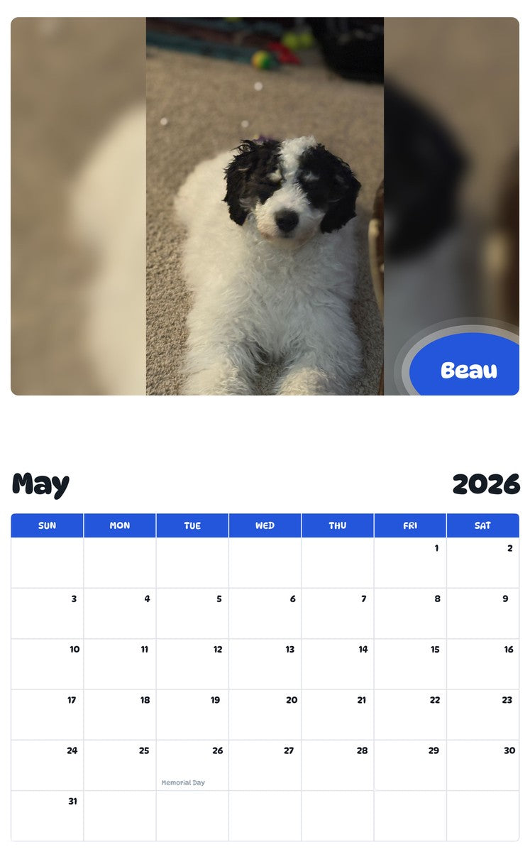 2026 - 2027 Beau - Pawidols Pet Calendar