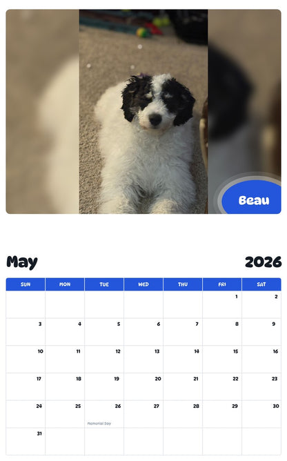 2026 - 2027 Beau - Pawidols Pet Calendar