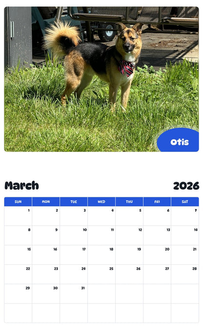 November 2025 - October 2026 Otis - Pawidols Pet Calendar