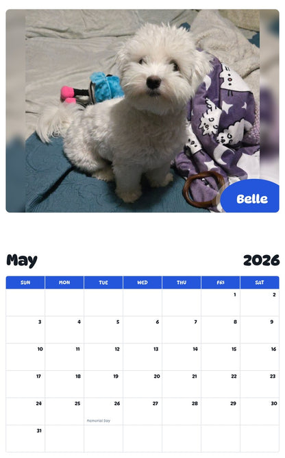 2026 - 2027 Belle - Pawidols Pet Calendar