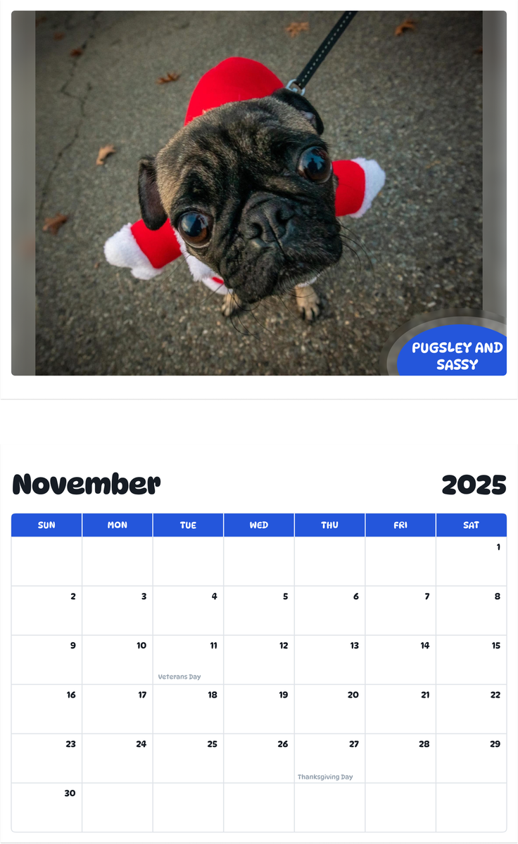 July 2025 - June 2026 Pugsley and Sassy - Pawidols Pet Calendar