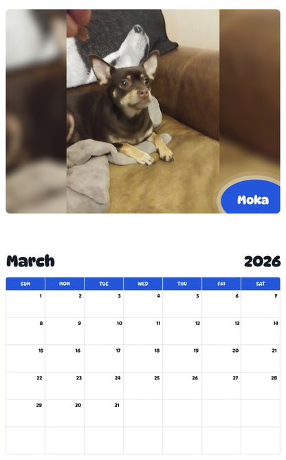 November 2025 - October 2026 Moka - Pawidols Pet Calendar