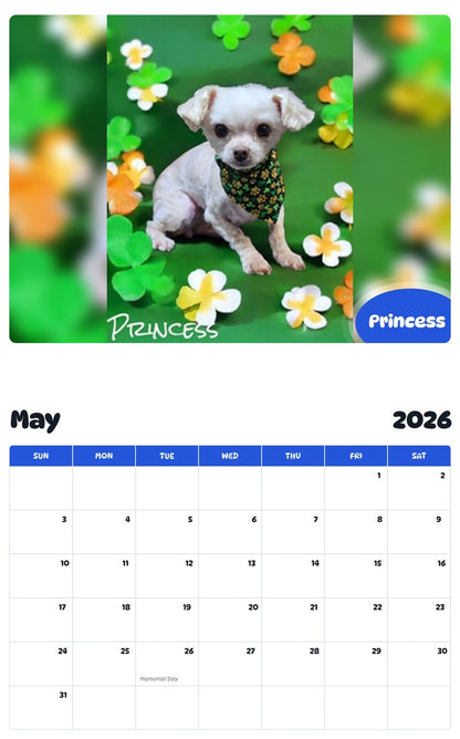 2026 - 2027 Princess - Pawidols Pet Calendar