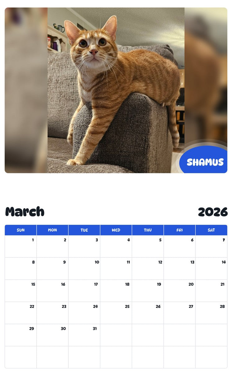 November 2025 - October 2026 SHAMUS - Pawidols Pet Calendar