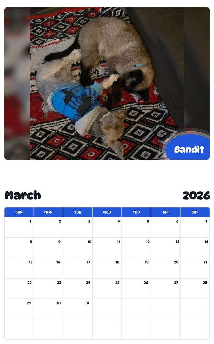 November 2025 - October 2026 Bandit - Pawidols Pet Calendar