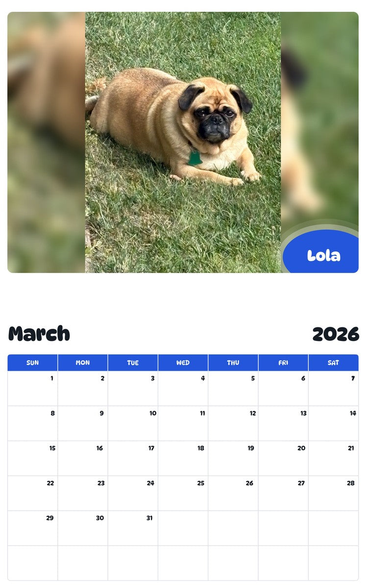 November 2025 - October 2026 Lola - Pawidols Pet Calendar